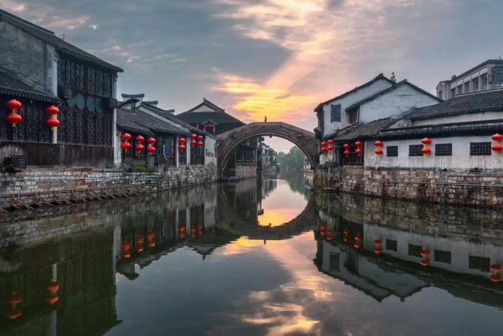 救援受困的老虎